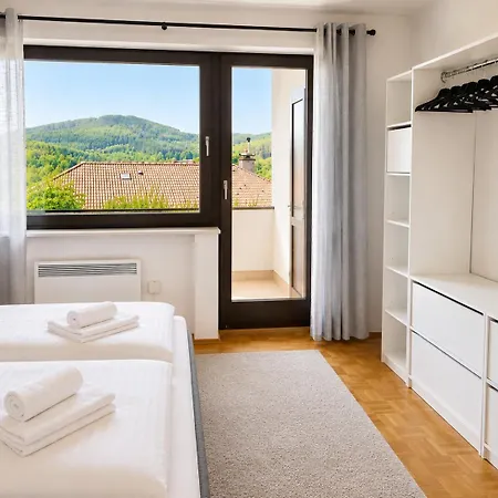 Apartment Seeblick 24 Winterberg